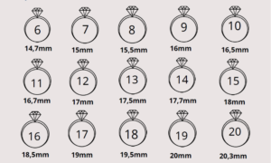 hướng dẫn đo size